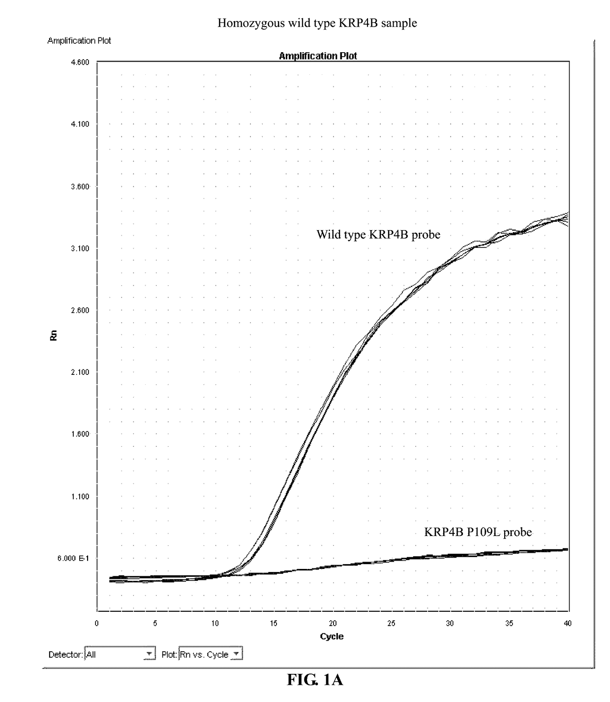 Identification and the use of krp mutants in plants