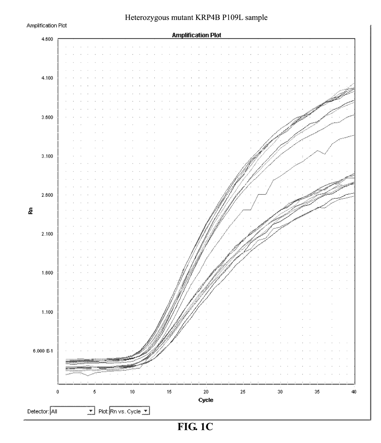 Identification and the use of krp mutants in plants