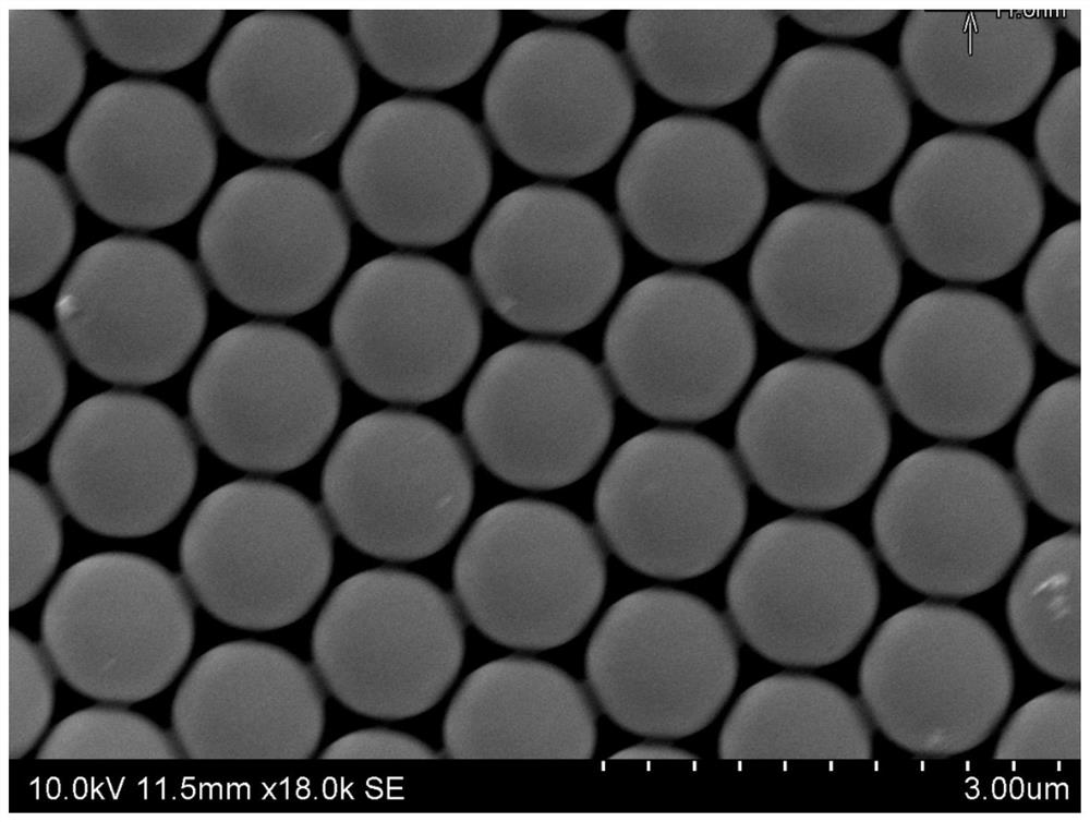 SnS2 two-dimensional ordered nanopore film as well as preparation method and application thereof