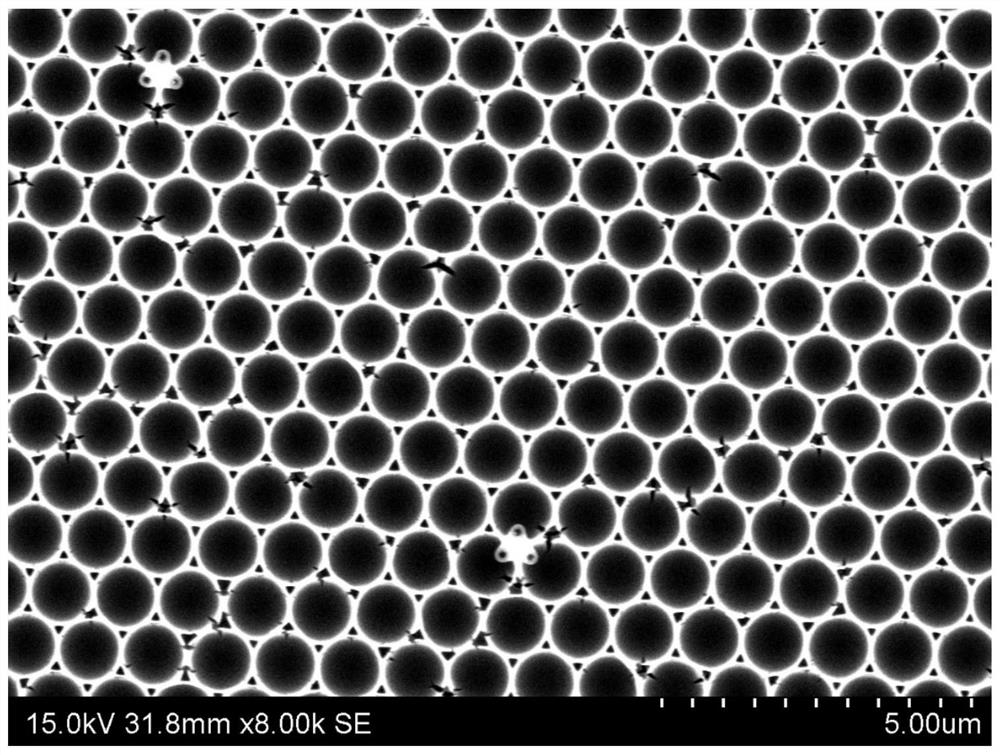 SnS2 two-dimensional ordered nanopore film as well as preparation method and application thereof