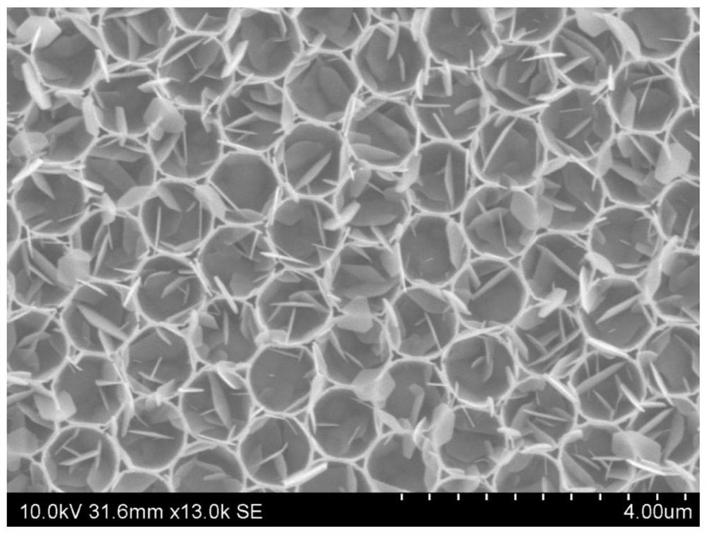 SnS2 two-dimensional ordered nanopore film as well as preparation method and application thereof