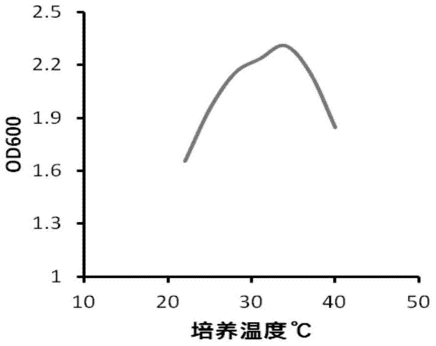 A kind of production method of instant fermented celery soft can with long shelf life