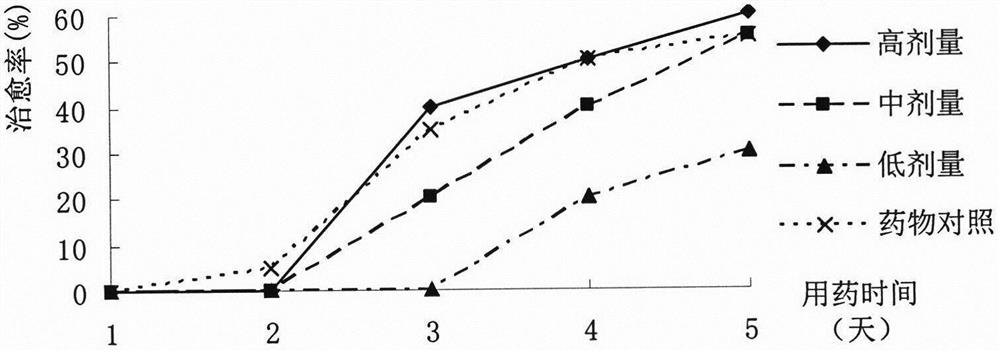 A kind of traditional Chinese medicine compound prescription for preventing and treating livestock and poultry diarrhea and its preparation process