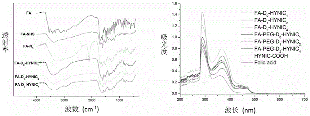 Targeted probe for nuclide labeling and preparation method and application of targeted probe