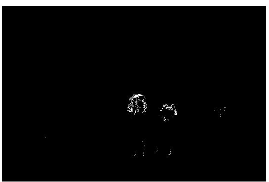 Stereo image objective quality evaluation method based on integration of visual threshold value and passage