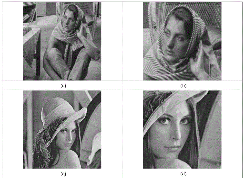 A Nonconvex Compressive Sensing Image Reconstruction Method Based on Local Similarity and Local Selection