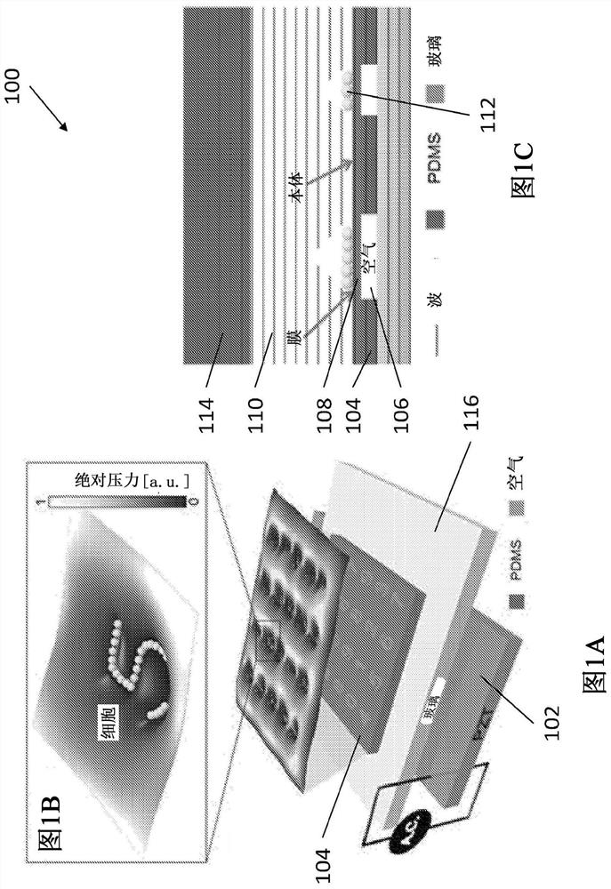 Arbitrarily shaped, deep sub-wavelength acoustic manipulation for microparticle and cell patterning