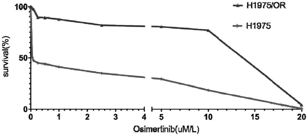 Osimertinib-resistant human non-small cell lung cancer cell strain H1975/OR and application thereof