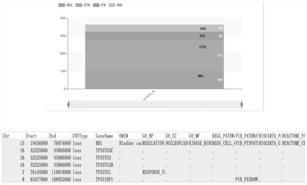 Osimertinib-resistant human non-small cell lung cancer cell strain H1975/OR and application thereof