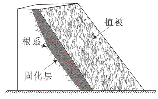 Method for performing ecological reinforcement on soil slope surface by utilizing composite curing agent