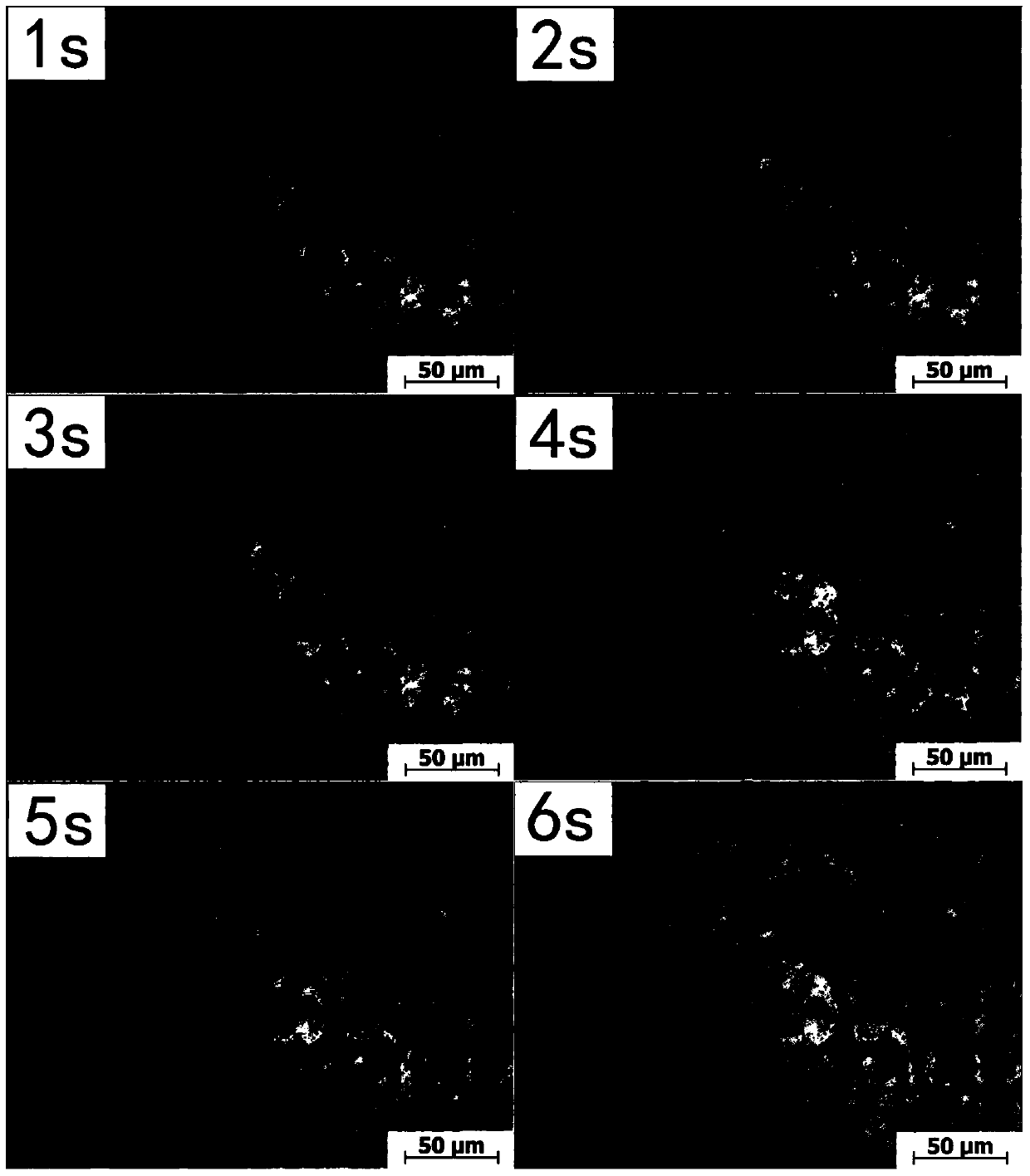 A Method for In Situ Recording and Observation of Microstructure Corrosion Behavior of Magnesium Alloys