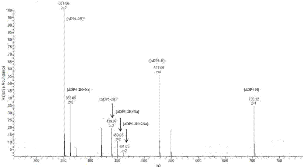 Method for directionally preparing alginate oligosaccharides by enzymatic hydrolysis