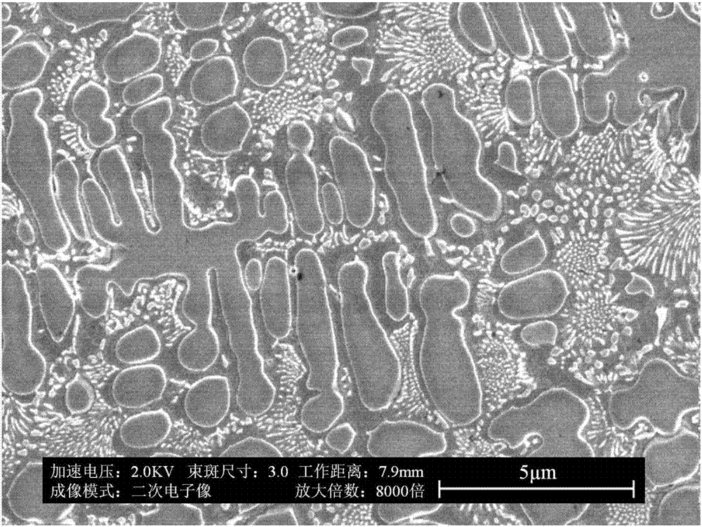 A kind of rare earth magnetic material with controllable deformation of magnetic field and preparation method thereof