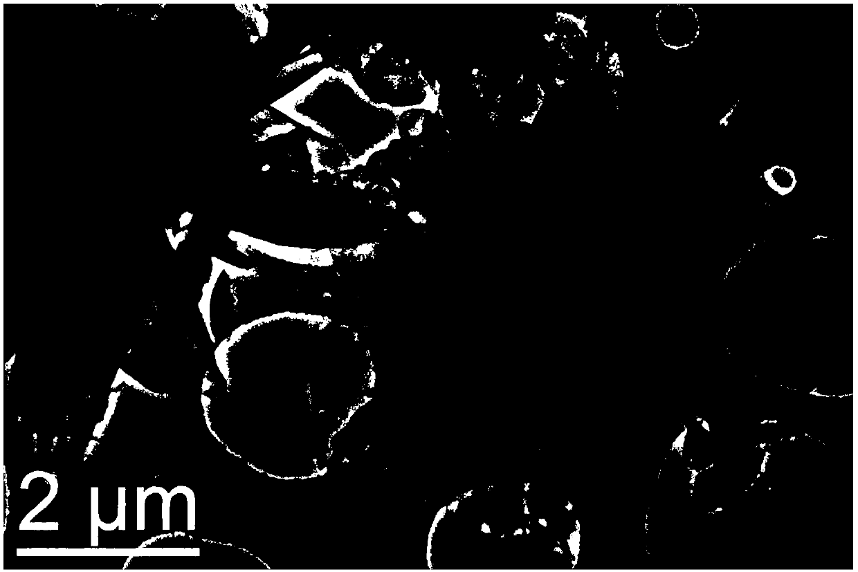 Nitrogen dioxide gas sensor based on flower-shaped SnSe2/SnO2 heterojunction, and preparation technology and application of nitrogen dioxide gas sensor