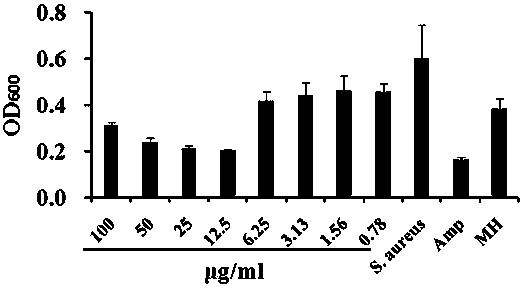 Application of perylene tetracarboxylic dianhydride amidation compound in anti-staphylococcus aureus