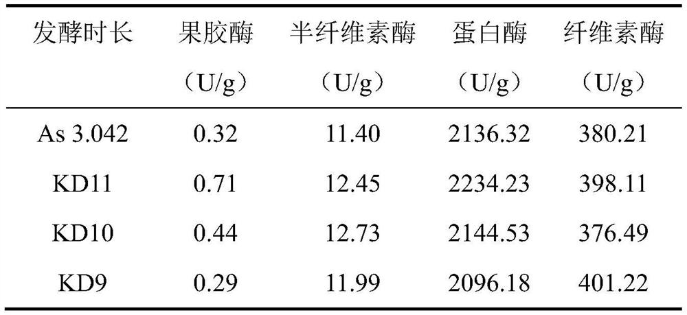 A kind of Aspergillus oryzae and its application in soy sauce brewing