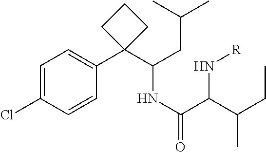 Phenylcyclobutylamide derivatives and their stereoisomers, the preparation processes and uses thereof