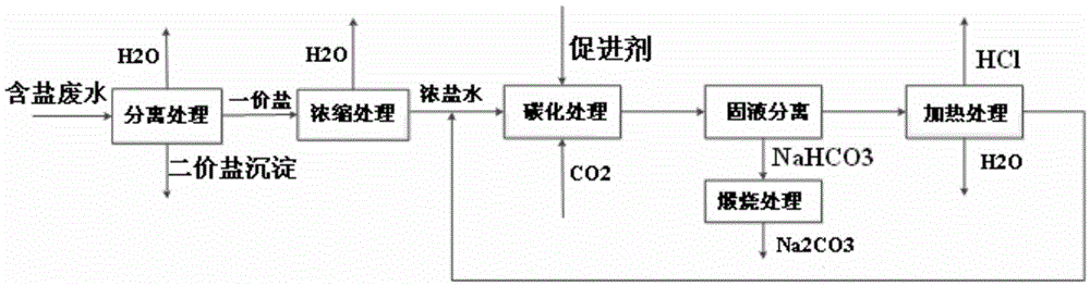 Method for producing sodium carbonate with salt-containing wastewater and CO2