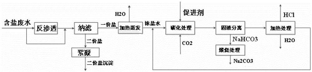 Method for producing sodium carbonate with salt-containing wastewater and CO2