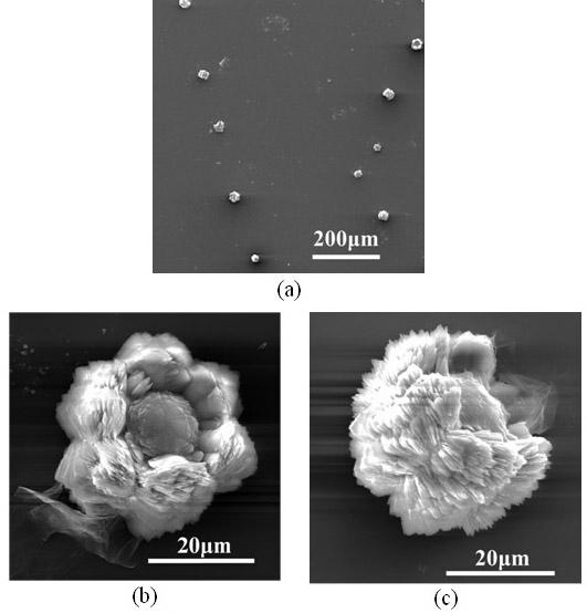 A kind of preparation method of calcium carbonate particle