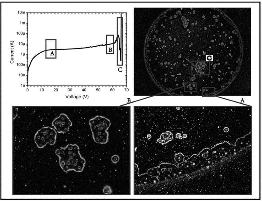 Real-time testing and analysis system for electrical characteristics and breakdown characteristics of thin films