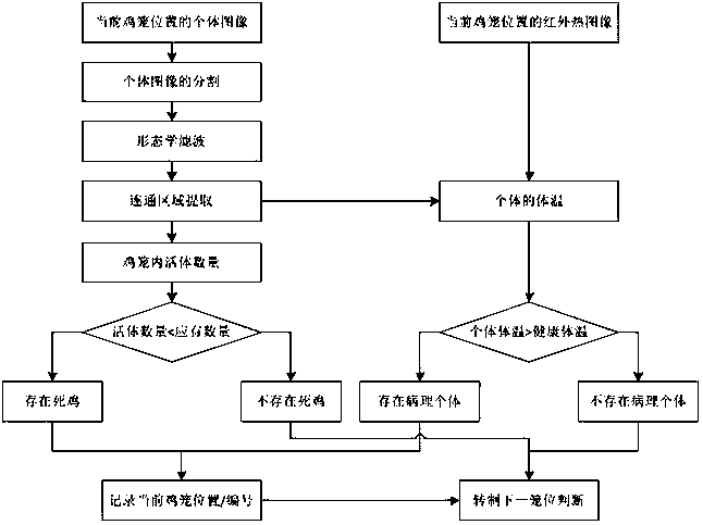 Cage chicken health condition automatic monitoring ball wheel trolley and monitoring method