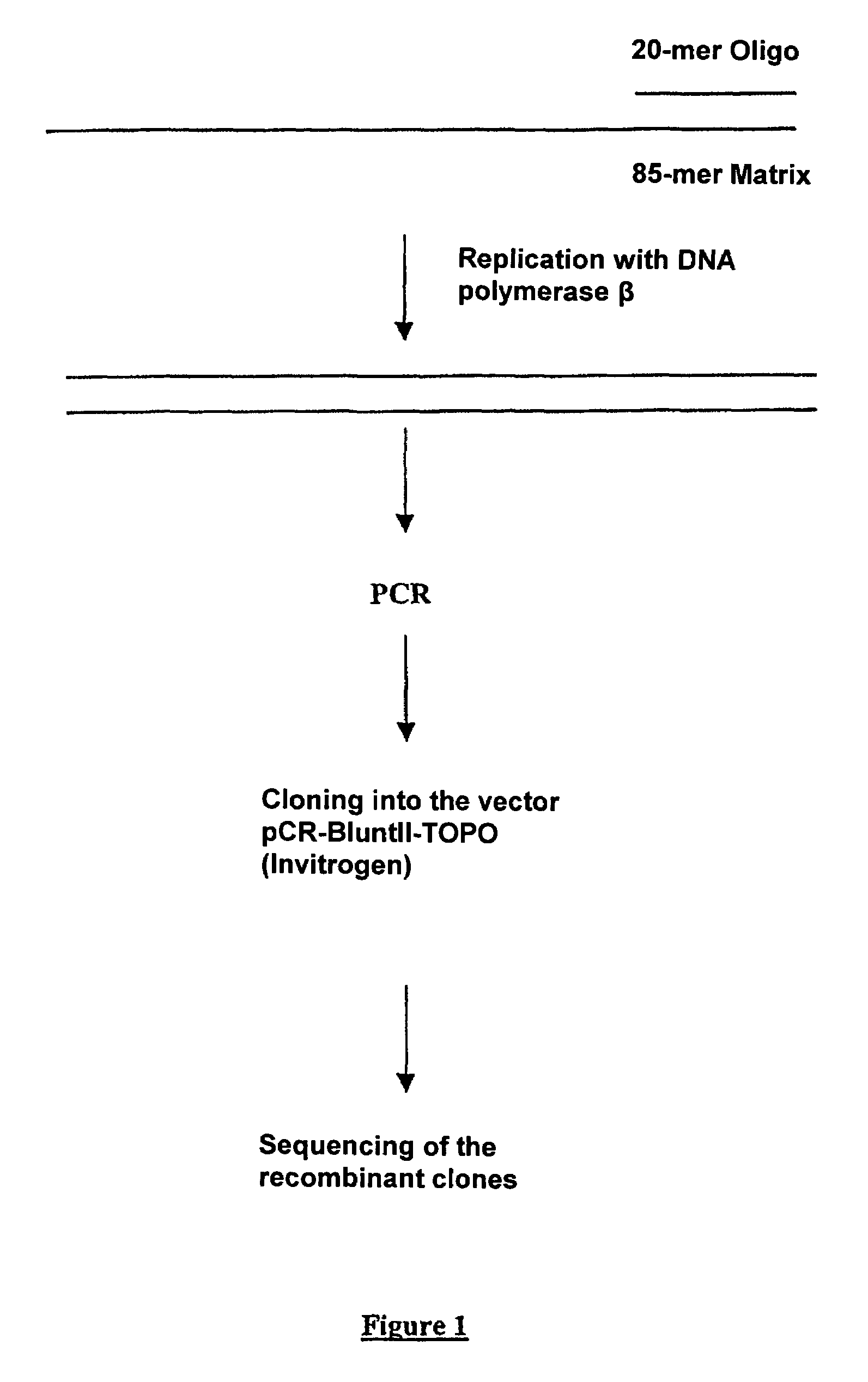 Use of mutagenic DNA polymerase for producing random mutations