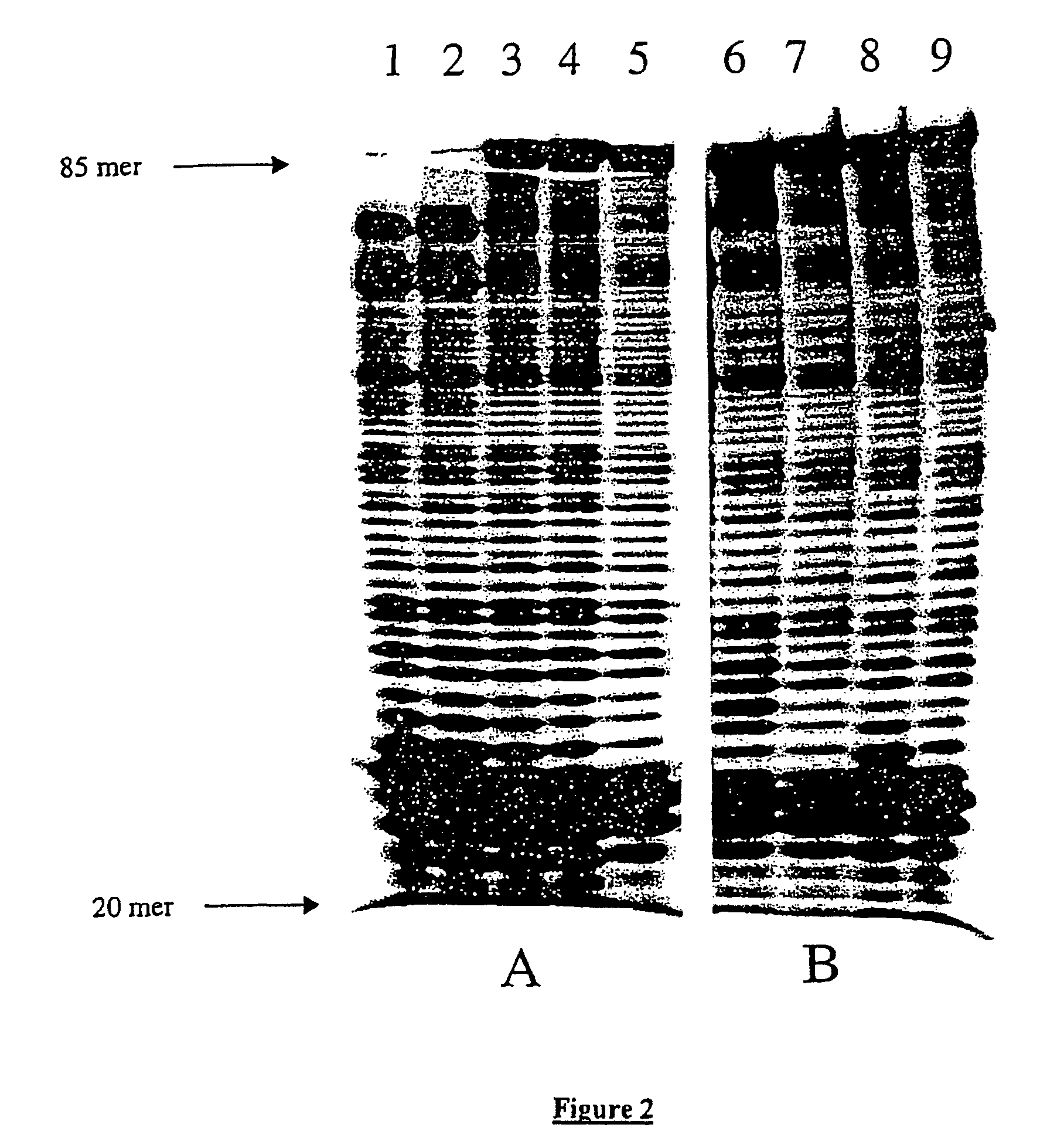 Use of mutagenic DNA polymerase for producing random mutations