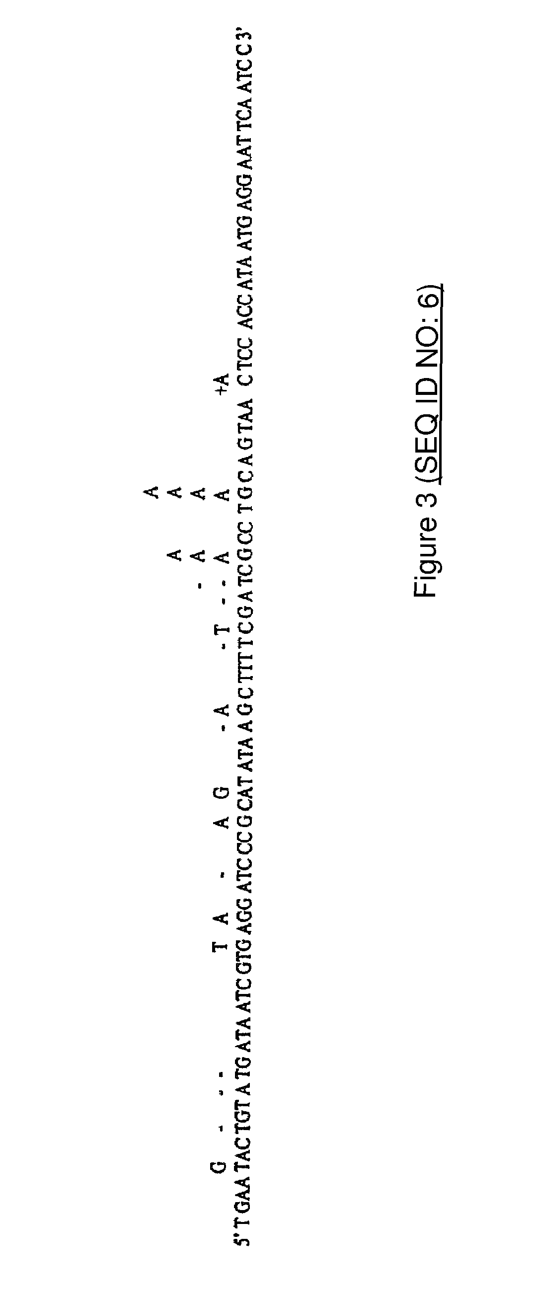 Use of mutagenic DNA polymerase for producing random mutations