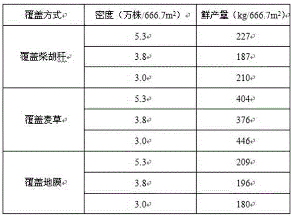 Cultivation method capable of preventing Angelica sinensis from premature bolting