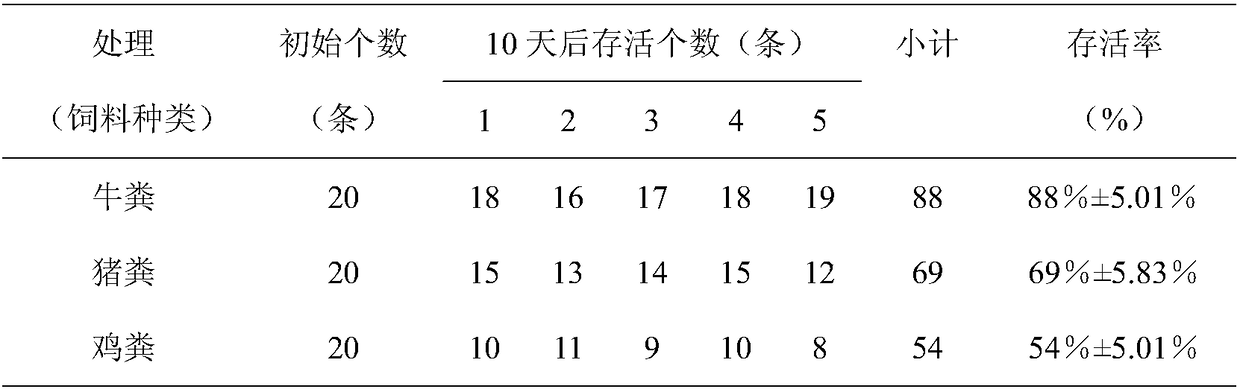 Method for transporting pheretima asperfillm larvae