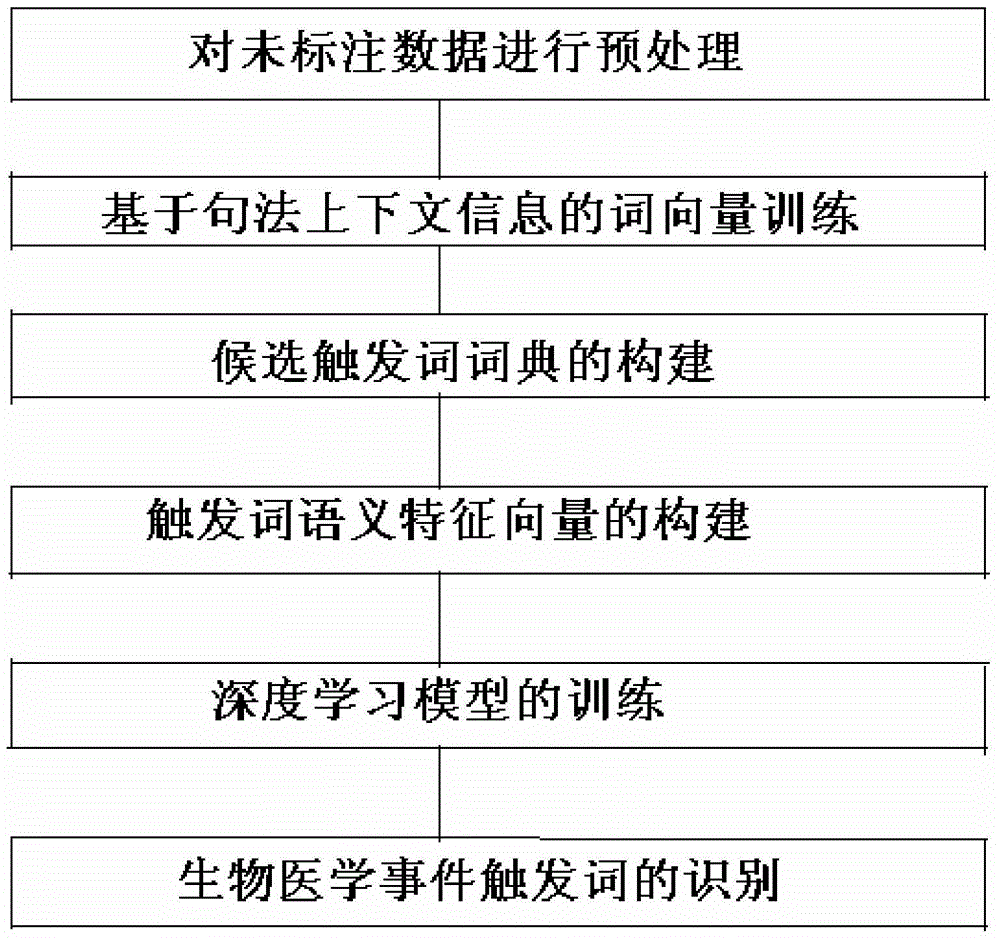 Biomedical event trigger word identification method based on syntactic word vector