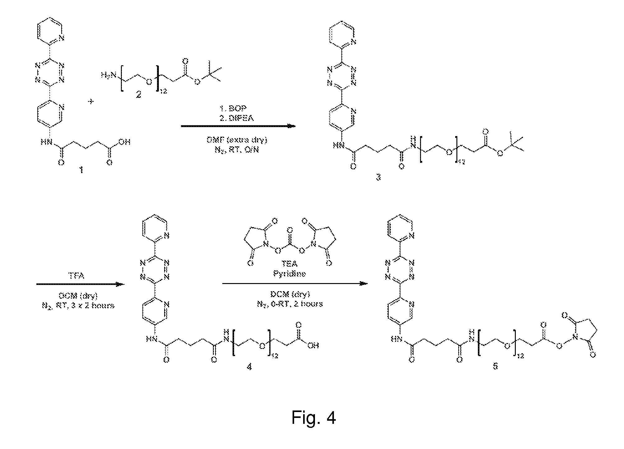 Agents for clearing biomolecules from circulation