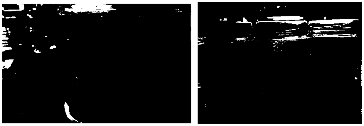 Sandy plant tissue culture medium, preparation method and application thereof