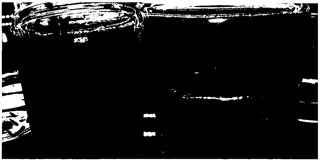 Sandy plant tissue culture medium, preparation method and application thereof