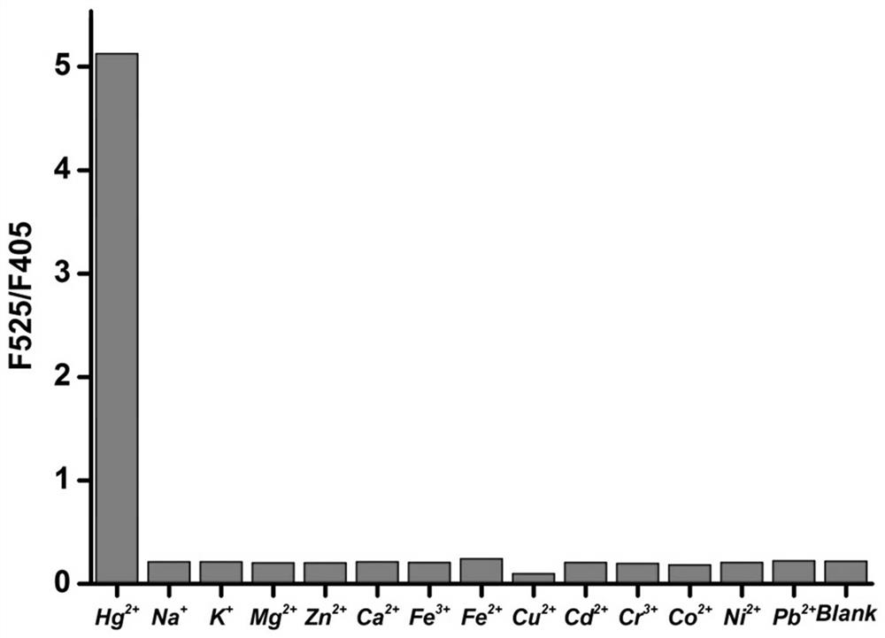 Mercury-responsive fluorescent probe and preparation method thereof