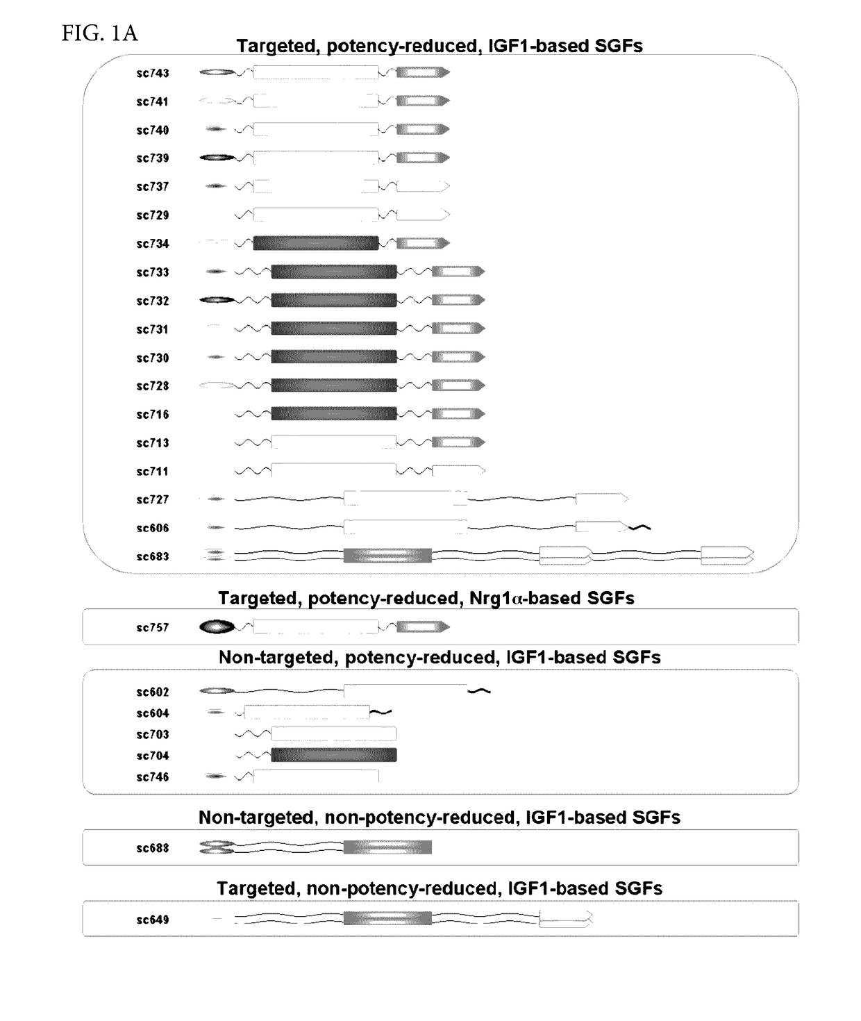 Bi-Specific Therapeutic Proteins for Tissue Repair