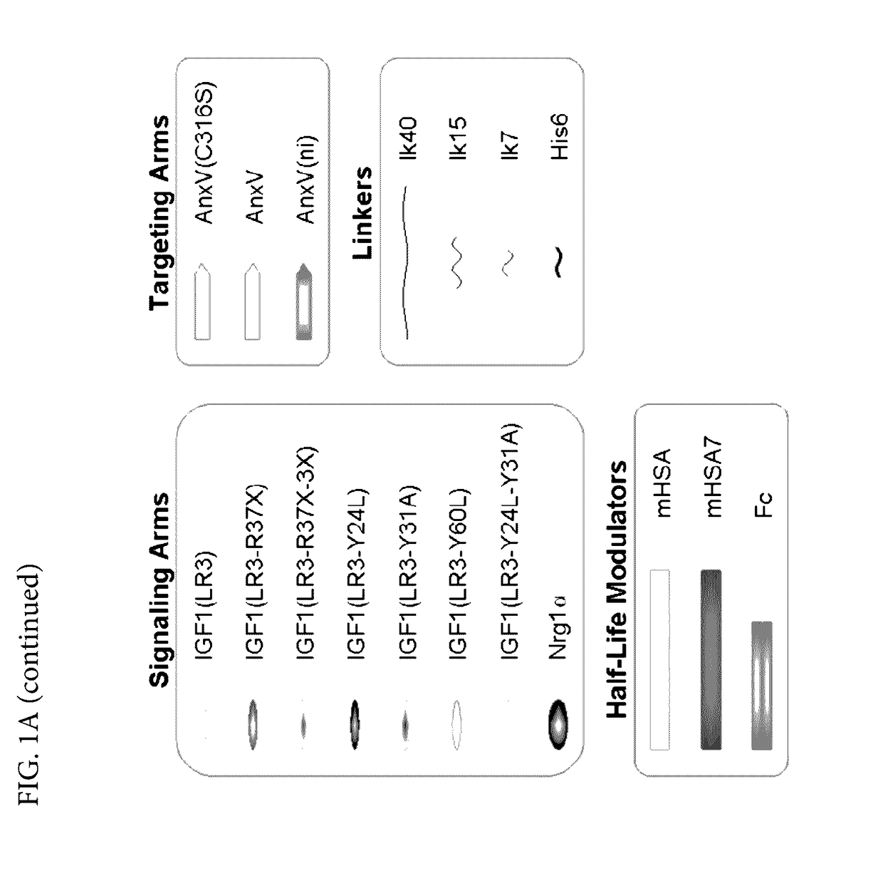 Bi-Specific Therapeutic Proteins for Tissue Repair