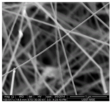 Preparation method of gallium nitride nanowires