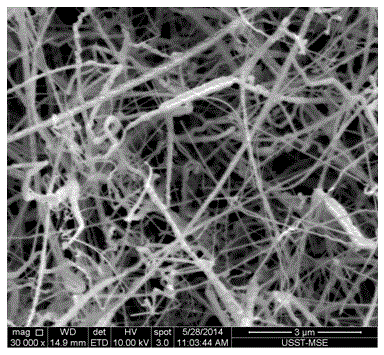 Preparation method of gallium nitride nanowires