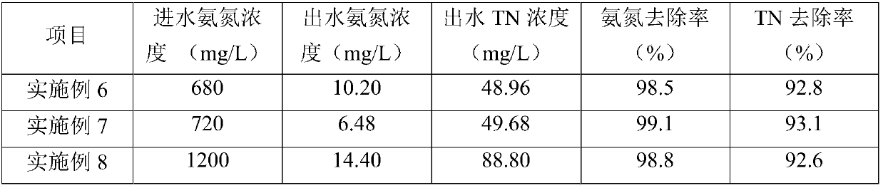 Biological preparation for treating high-concentration ammonia nitrogen wastewater and preparation method thereof