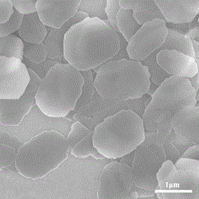 Method for preparing phenylamino porphyrin self-assembled nanomaterial by adopting co-solvent method