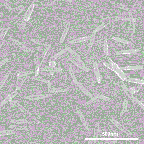 Method for preparing phenylamino porphyrin self-assembled nanomaterial by adopting co-solvent method