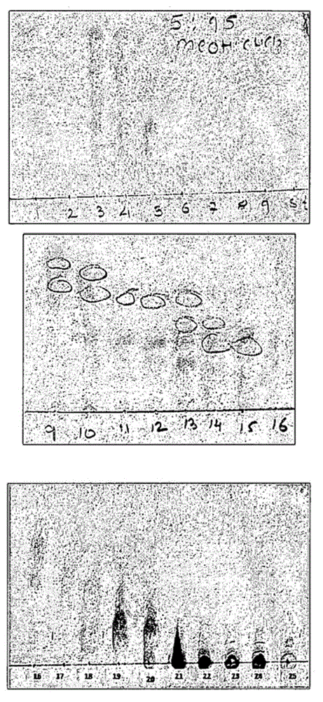 Antituberculosis compositions of byttneria species