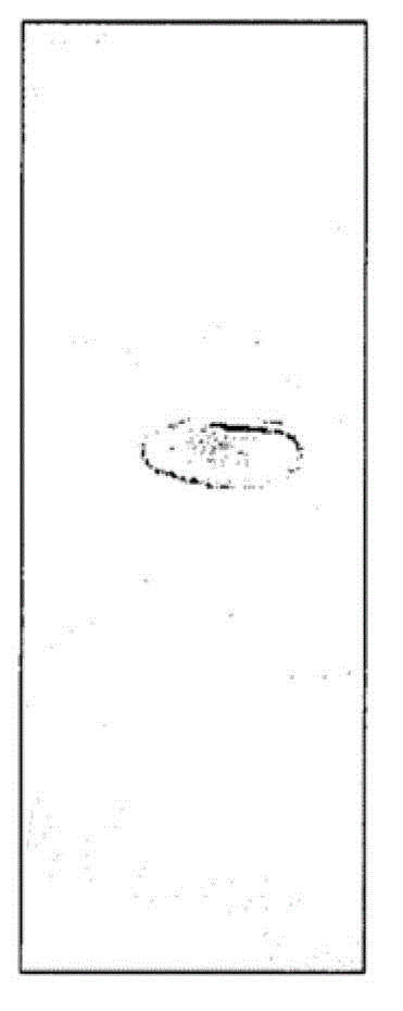 Antituberculosis compositions of byttneria species