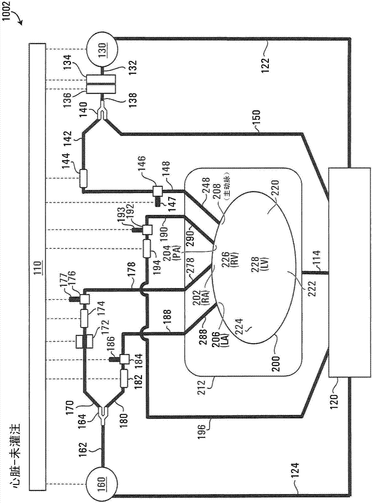 Apparatus and method for organ perfusion