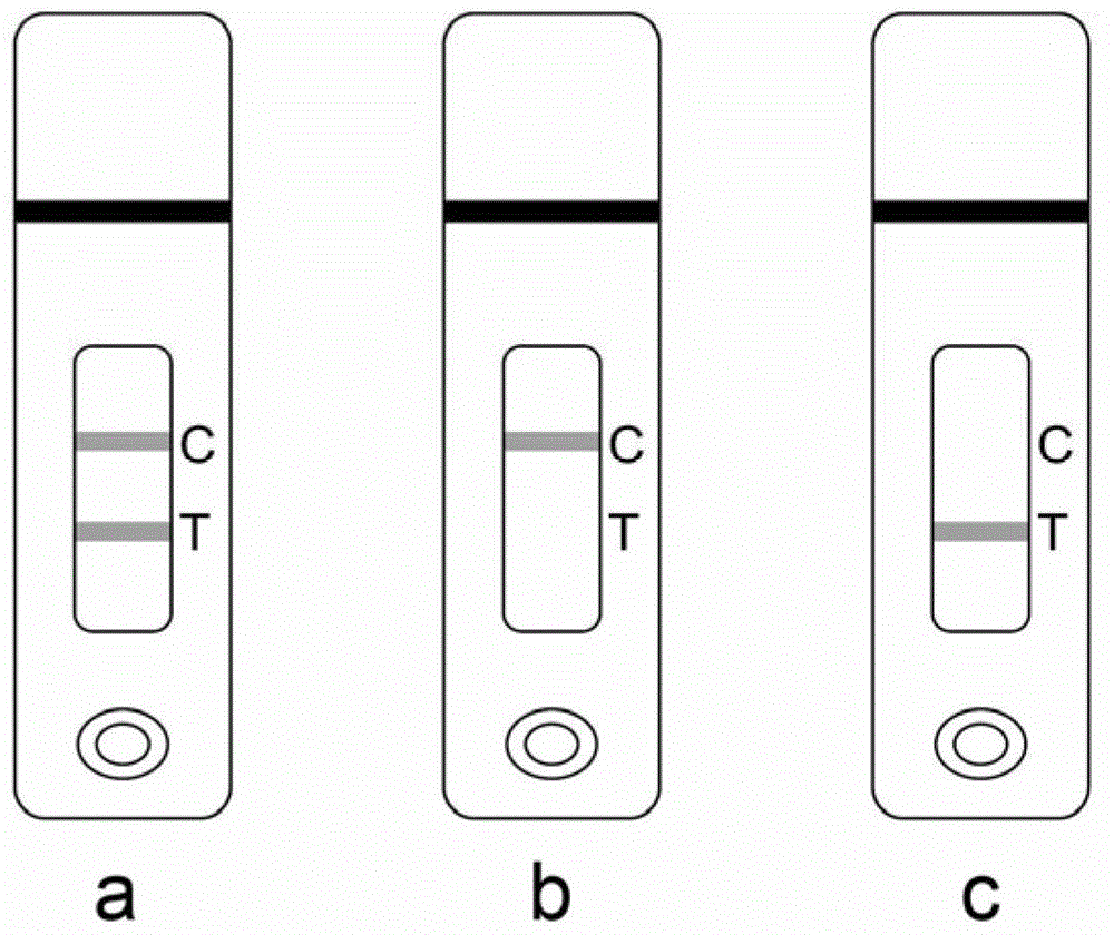 A dipstick used for testing betamethasone and application thereof