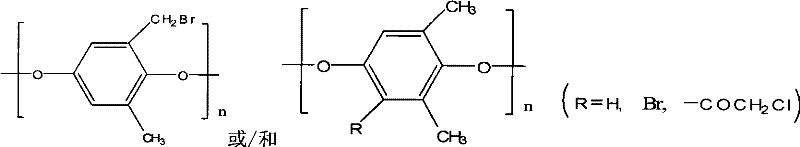 Homogeneous phase cation exchange film and preparation method thereof