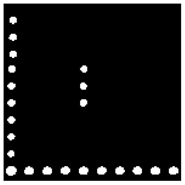 A detection method for sea cucumber pathogenic bacteria Shewanella flavina