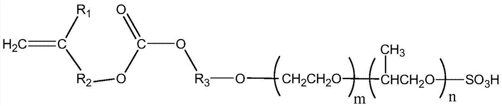 Mud resistant type water reducing agent and preparation method therefor